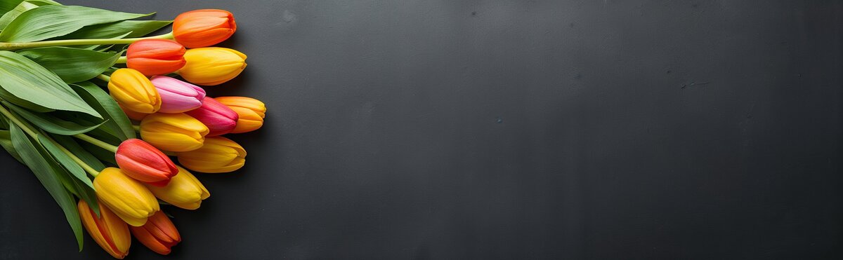 Cartes pour les hauts et les bas de l'amitié