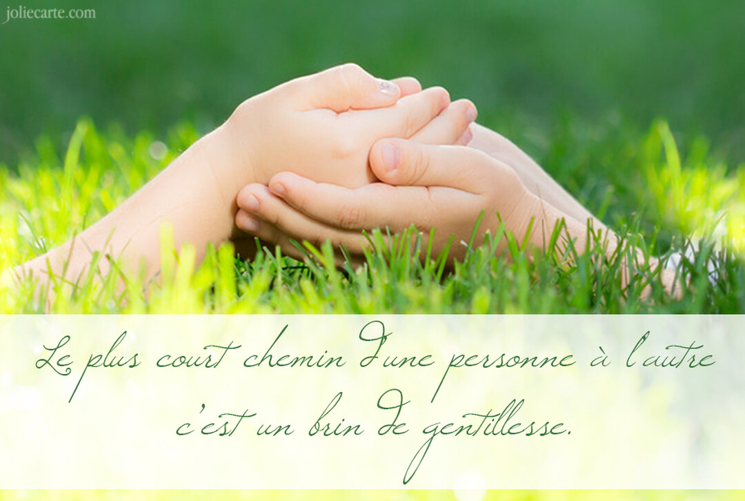 Des mains d'enfant reposent délicatement dans les paumes de mains d'adulte, sur un fond d'herbe verte et fraîche sous une lumière douce.