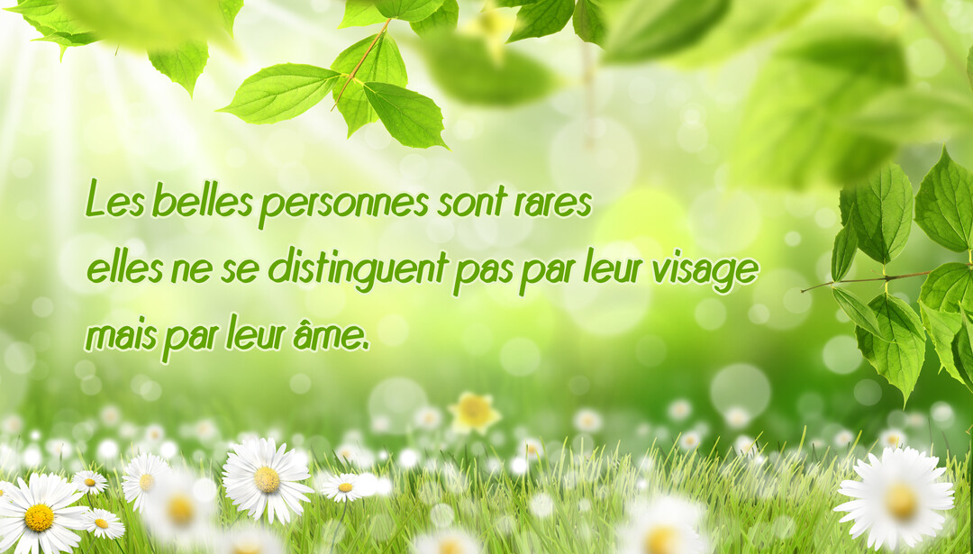 Une citation sur la beauté de l'âme est écrite sur un fond naturel et ensoleillé avec des marguerites blanches au premier plan.