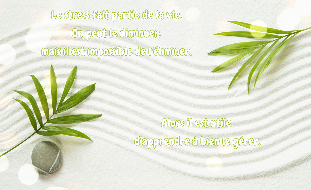 Une composition zen vue de dessus, montrant des feuilles de palmier et un galet posés sur du sable blanc ratissé en vagues.