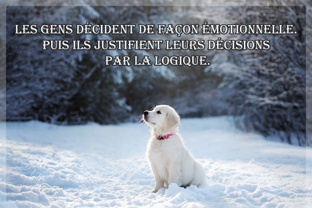 Un jeune chiot golden retriever de couleur crème est assis dans un paysage enneigé, regardant vers le haut, avec une citation superposée.