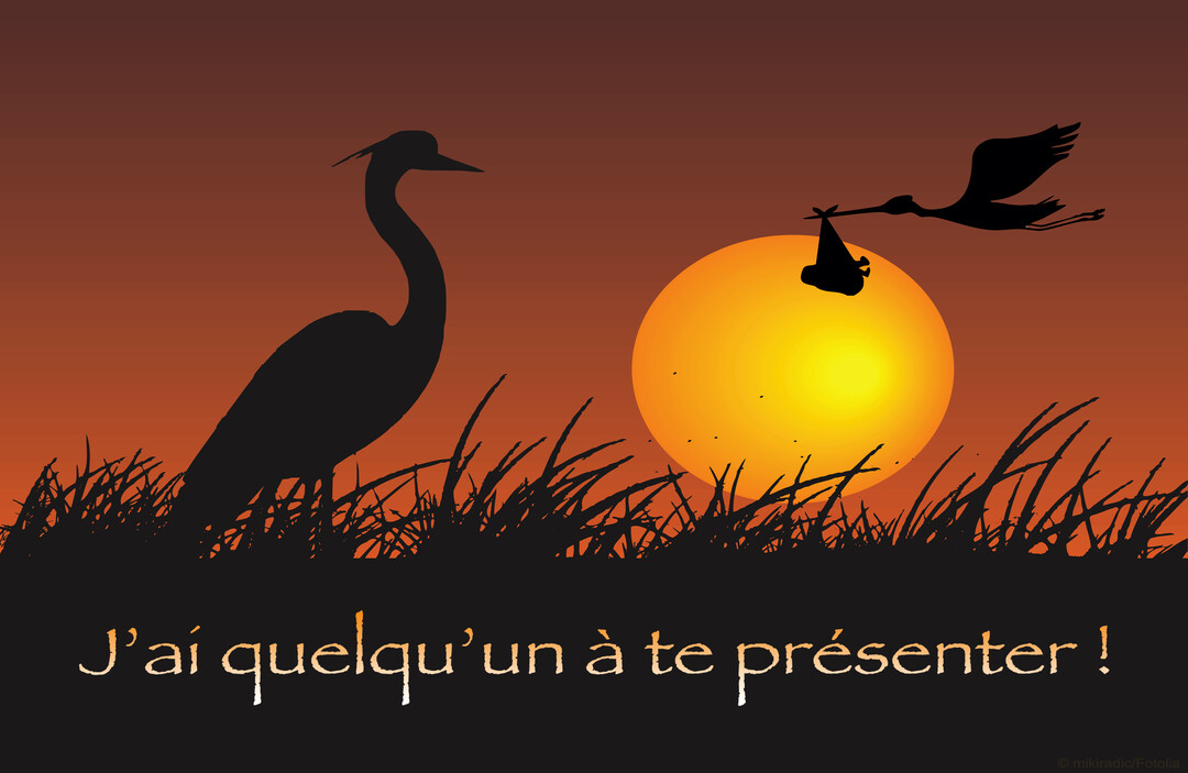 Une cigogne en silhouette vole vers un héron, transportant un bébé dans un baluchon devant un grand soleil couchant orangé.