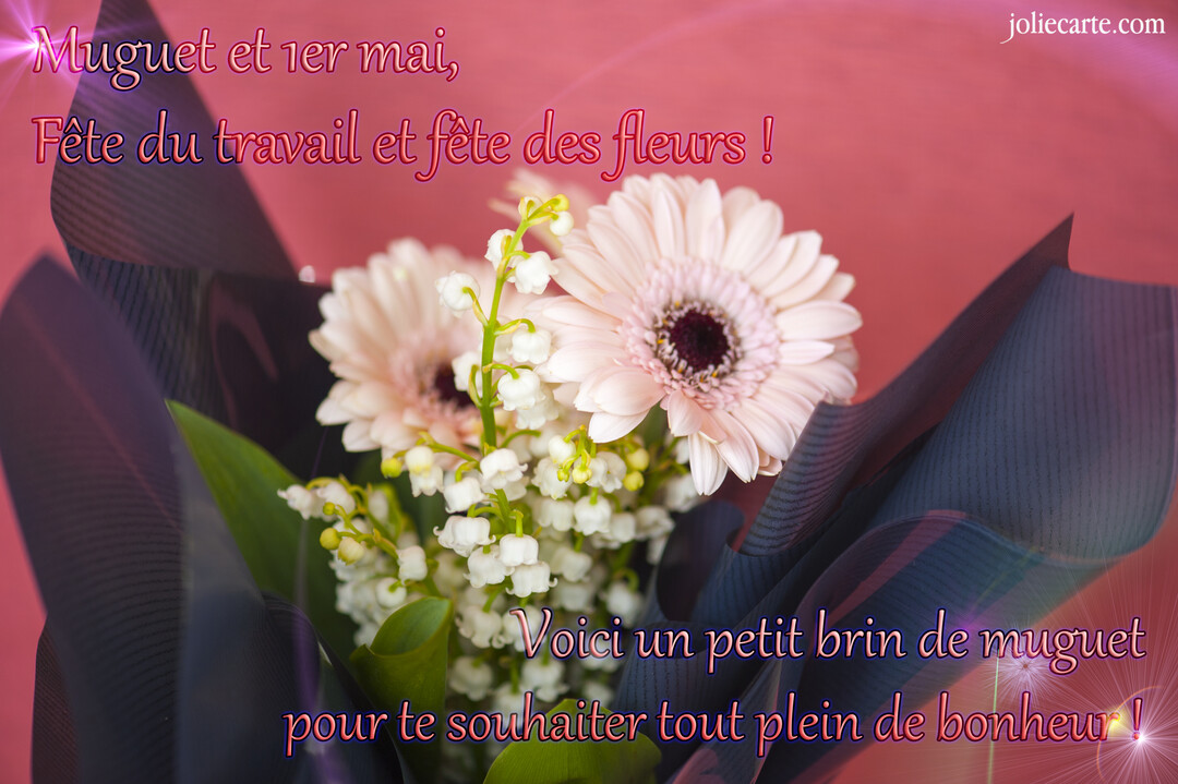 Gros plan sur un bouquet composé de brins de muguet blanc et de gerberas roses, emballé dans du papier foncé, sur fond rose.