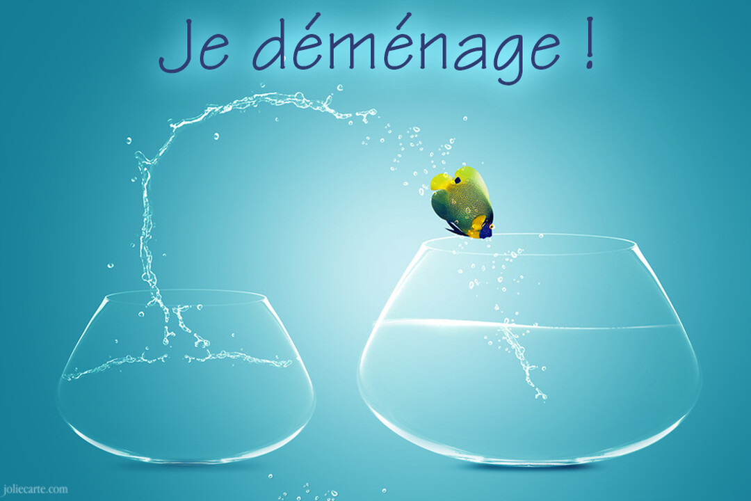 Un poisson coloré saute d'un petit bocal vers un plus grand, sous le texte "Je déménage !", sur un fond bleu-vert.