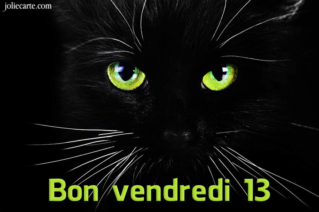 Un gros plan photographique du visage d'un chat noir, oĂč seuls ses yeux verts perçants et ses moustaches blanches sont visibles sur fond noir.