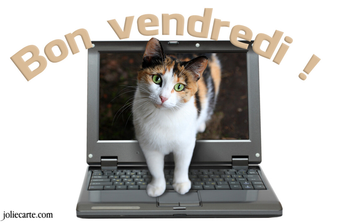 Un chat calico aux yeux verts semble émerger de l'écran d'un ordinateur portable ouvert, avec le texte 'Bon vendredi !' en arc au-dessus.