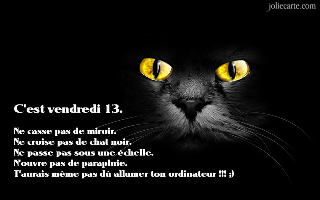 Sur un fond entièrement noir, les yeux jaunes et le museau d'un chat noir fixent le spectateur, accompagnés d'un texte humoristique sur le Vendredi 13.