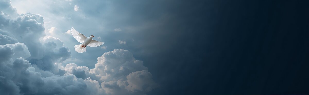 Carte de Condoléances gratuite