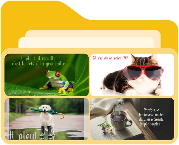 Bonne journée / semaine