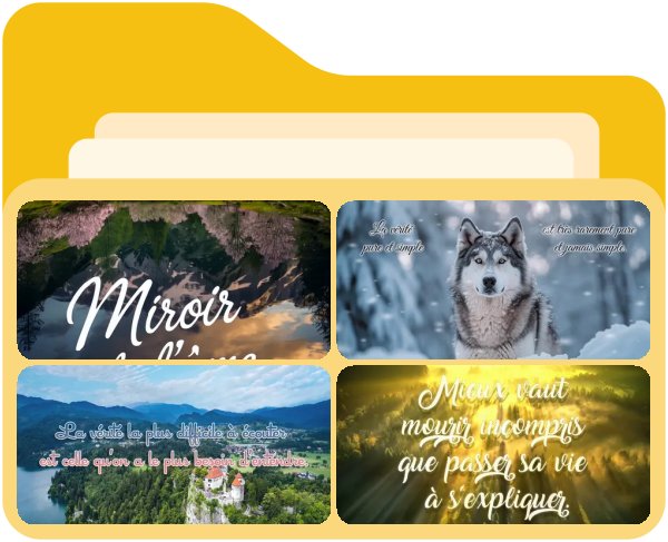 Citations sur la vérité