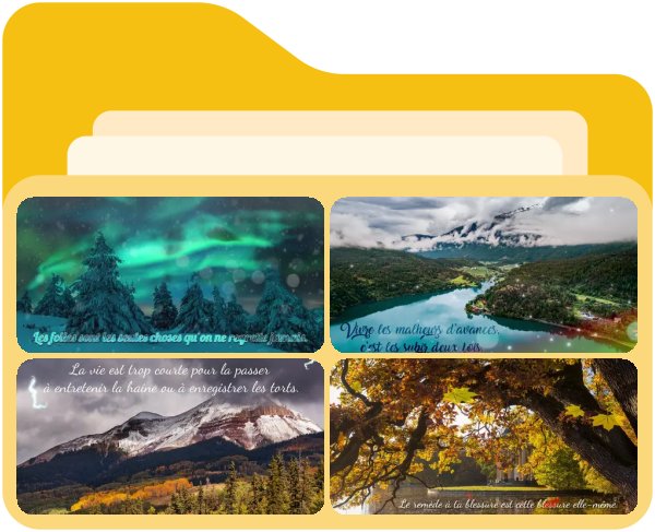 Citations sur les erreurs