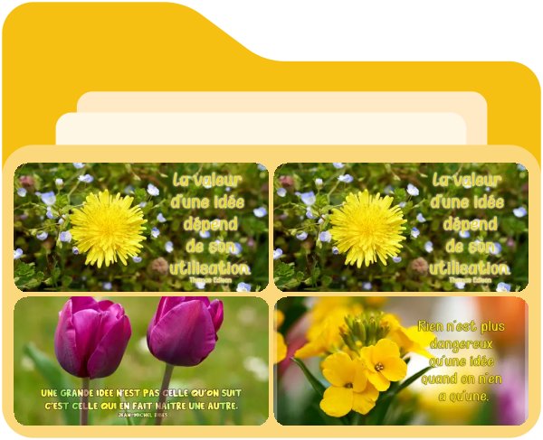 Citations sur les idées