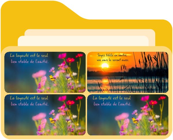 Loyauté en amitié